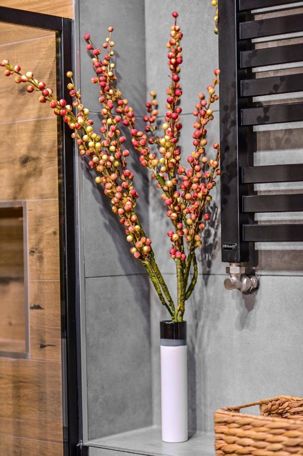 Apartament Loftspa Устшики Долне Екстериор снимка